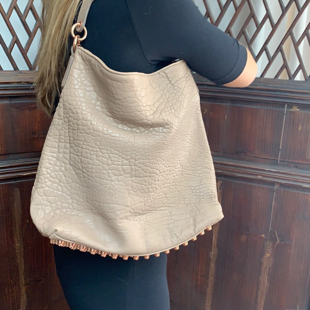 Alexander Wang Darcy hobo bag.